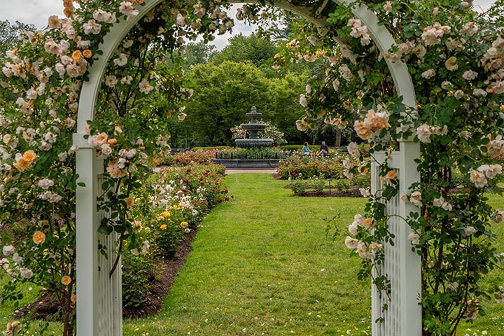 beautiful entry arches